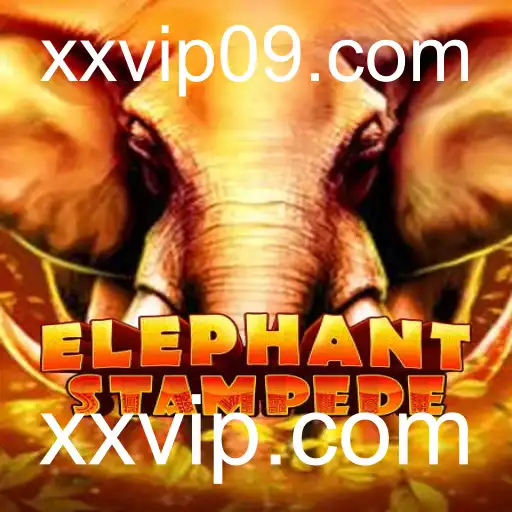 Descubra 'ElephantStampede': O Mundo Animado dos Elefantes em Ação